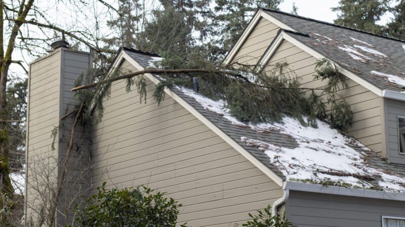 Storm Damage Roof Repair: What Central Kentucky Homeowners Should Do First