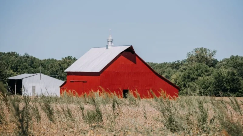 Barn Roofing in Kentucky: Materials, Costs & What Farmers Need to Know