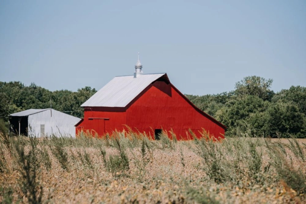 Read more about the article Barn Roofing in Kentucky: Materials, Costs & What Farmers Need to Know